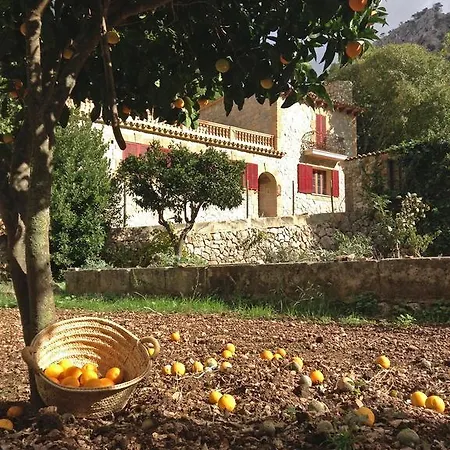 Ses Fontanelles