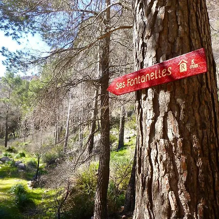 Guest house Ses Fontanelles *
