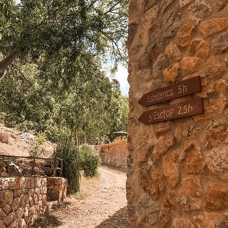 Ses Fontanelles Guest house *